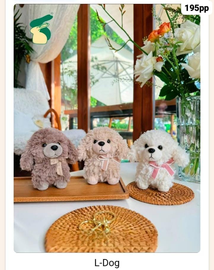 Premium high end yiwu plushies ( pack of 6)- prebooking