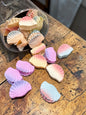 Seashell Mini Claw Clips Jar Set | Mermaid Pastel Hair Clutcher Collection ( pack of 22)