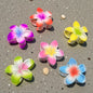 Korean Gradient Flower Hair Claw Clip – Multicolor Matte Floral Design( pack of 12)