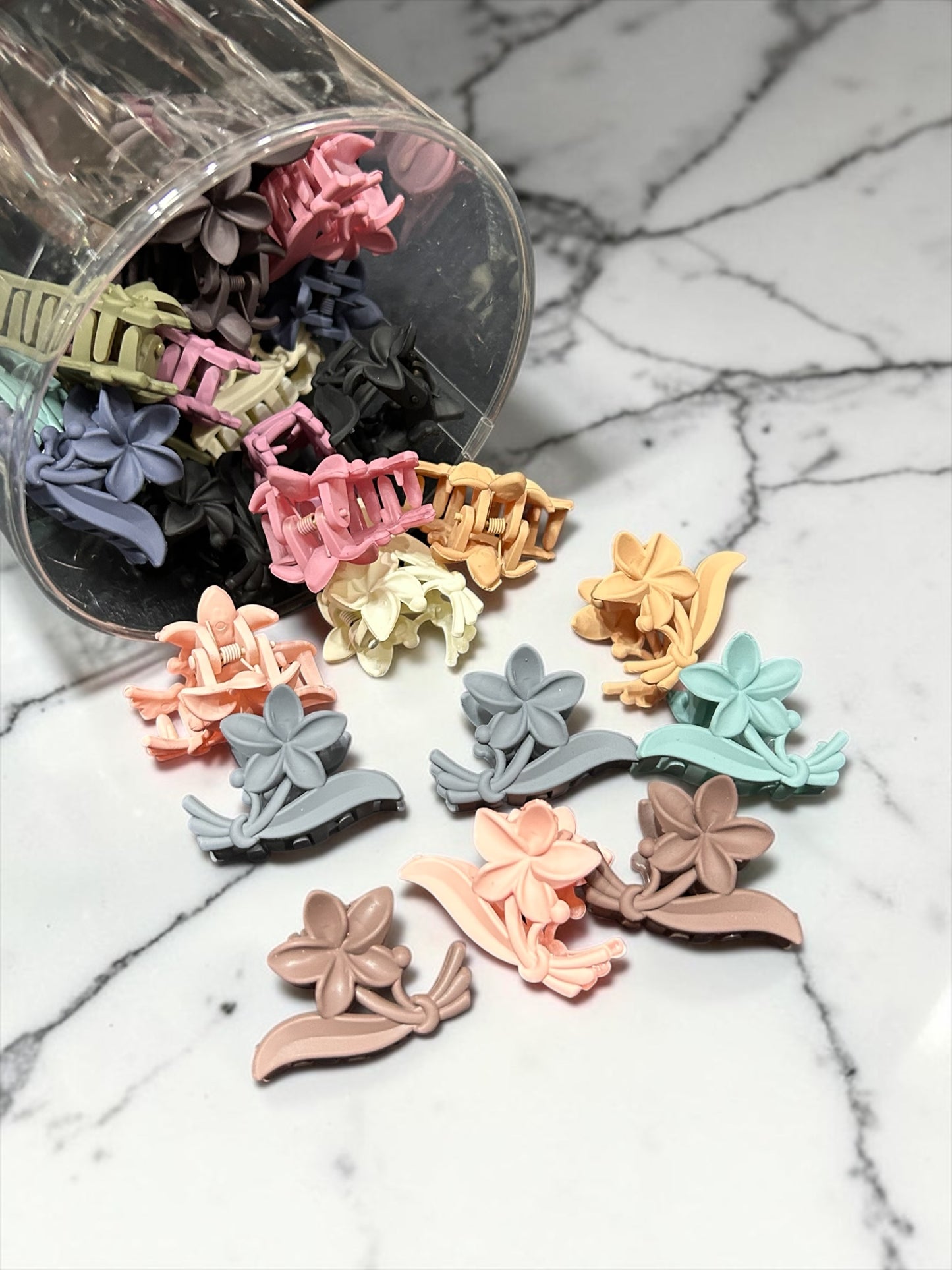 Korean jar claw clip(pack of 24 piece)