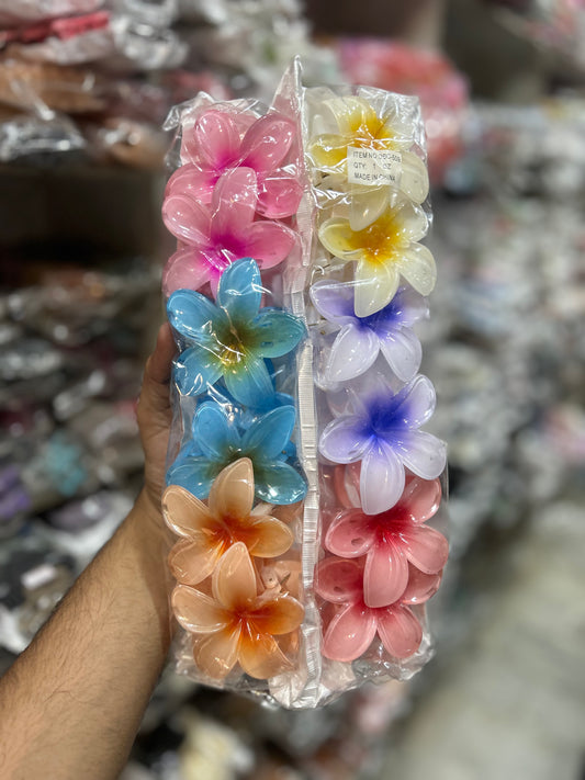 Korean  hair claw clip(pack of 12)