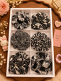 Korean box scrunchie (pack of 12) random design mix design