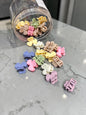 Pastel Mini Claw Clips Jar Set | Korean Style Hair Clutcher Collection( pack of 24)