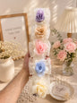 Korean premium hair bow (pack of 5)
