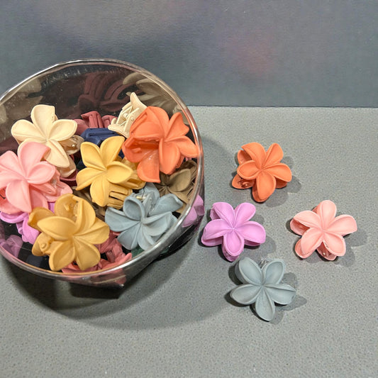 Mini flower Hair clutcher ( box of 24)