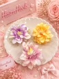 Korean flower clutcher (pack of 12)