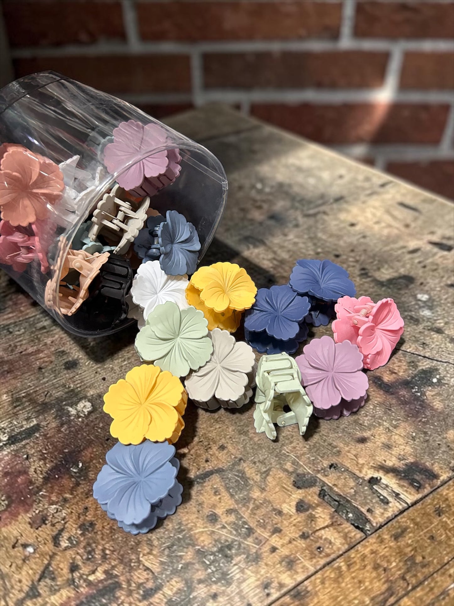 Korean jar claw clip(pack of 24 piece)