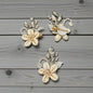 Elegant Shell Flower Hair Clip with Pearls & Crystal Leaves | Handmade Floral Hair Accessory for Women & Girls( pack of 3)