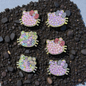 Hello kitty premium pin( pack of 6 )