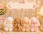 Plushies keychain ( pack of 6)