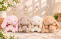 Plushies premium quality ( pack of 6)