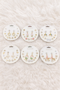 Earings stud combo sets ( pack of 12 cards)