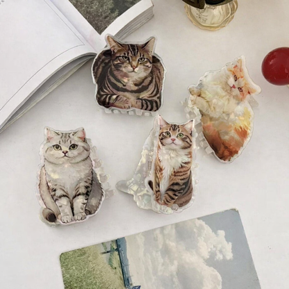 Acrylic clutchers premium quality ( pack of 12)