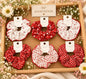 Korean premium XL scrunchies ( pack of 12)